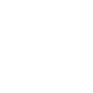 Noah Taferner Racing Logo